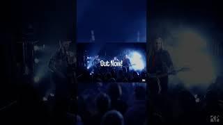 Kommando Pimperle - Puppenspieler live at Elbdeich Studio Out Now