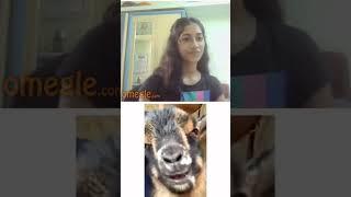 Khatam Tata Bie Bie  #shorts #short #omegle