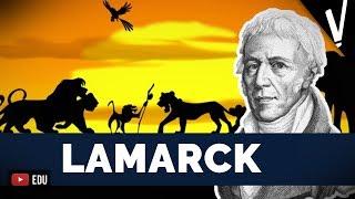 LAMARCK: O PIONEIRO DA EVOLUÇÃO│ Ciências da Natureza