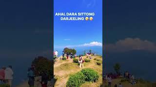 Sittong Darjeeling #