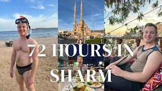 72 Hours in Sharm El Sheikh: Snorkeling, Camping, Resorts, Seafood, and more!