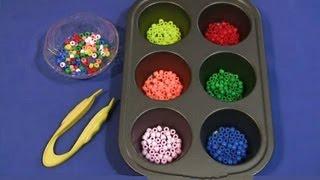 Muffin Tin Bead Sorting