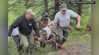 Dog runs four miles to save owner