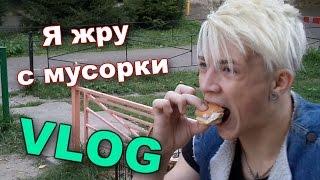 VLOG: Я жру с мусорки / Андрей Мартыненко