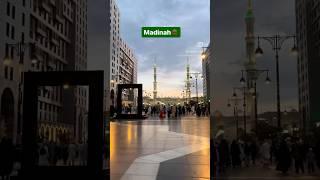 Madinah meri jaan. Madinay ki galiyan | #trending #viral #madinah #islam #roza #traveler #traveling