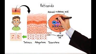 Pharmacology - ACNE TREATMENTS (MADE EASY)