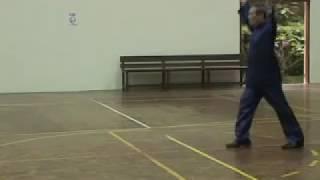 Shaolin Elegant Movements 8