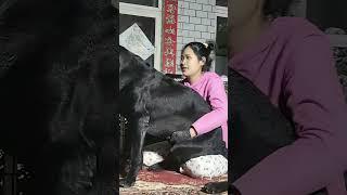 This dog is creating the new generation 771