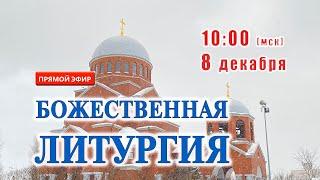 Прямая трансляция: Божественная литургия. 8 декабря 2024