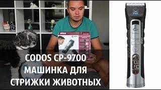 VLOG: Купили машинку для стрижки животных Codos CP-9700 /Обзор