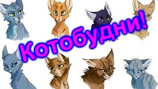 Коты Воители   Котобудни #1