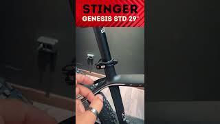 Важный нюанс карбоновой рамы на горном велосипеде Stinger Genesis Std 29'' (2023)