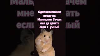 О_з_в_у_ч_к_а_ _м_о_я!  Я люблю YouTube