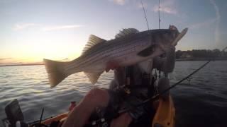 An Hour Before Dark -  Hogy / Topwater 247Lures - Why Knot Fishing