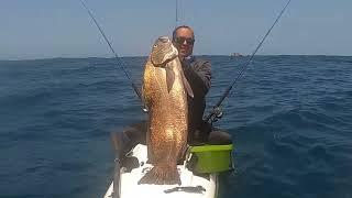 FISHING UMHLANGA FPR DAGA