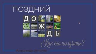 Поздний дождь - как его получить? | Проповедь о Святом Духе  | Александр Антонов