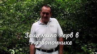 Защемило нерв в спине, позвоночнике, шее. Перекосило спину, что делать? Защемление нерва.