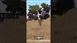 Solo miramar never easy but if you had that mini14 with 8x that a huge advantage #shortvideo
