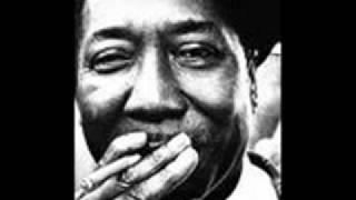 Muddy Waters - 'Forty Days & Forty Nights