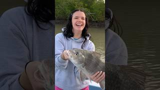 #fishing #everglades #fishingboat #fishingadventure #fish #islamoradaflorida #boat #fishinggirl