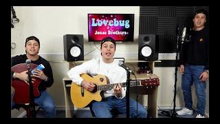 Lovebug - Jonas Brothers (Cover by Andres Cruz)