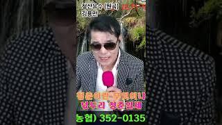 김용만 청산유수 (커버) #전진