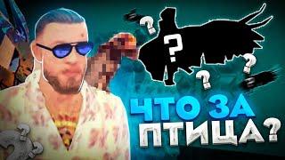 АКССЕСУАР ЗА 45.000.000?! Вылупление яиц, Инкубатор • Mordor RP / Мордор РП