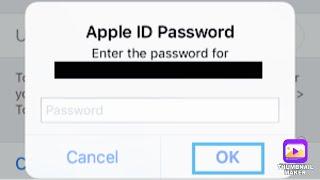 APPLE Remove iCloud forgotten password fully untethered bypass iOS 12-14.8.1 APPLE iPhone/iPad/iPod