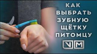 Как выбрать зубную щётку питомцу