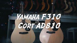 Yamaha F310 VS Cort AD810 | Сравнительный обзор