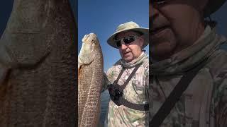 #1 REDFISH TODAY ‼️#fishing #fishing #fishingvideo #shortvideo @BayouPete