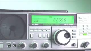 Free Radio Victoria 6255 Khz