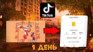 СКОЛЬКО ПОДПИСЧИКОВ Я НАБЕРУ В ТИКТОК ЗА 1 ДЕНЬ? ЭКСПЕРИМЕНТ BRAWL STARS