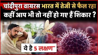 Chandipura Virus : भारत में तेजी से फ़ैल रहा चांदीपुरा वायरस.. कहीं आप भी तो नहीं हो गये शिकार ?