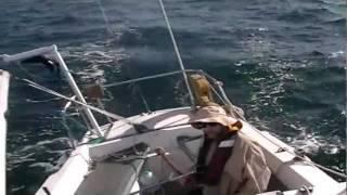 happiness perfect sail