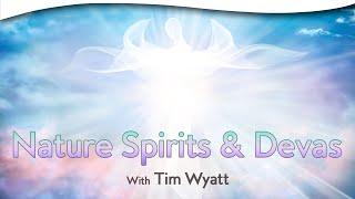 Nature Spirits and Devas: Nature’s Invisible Commonwealths | Tim Wyatt