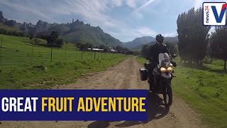 Londoners take on 'Great Fruit Adventure' through Africa