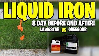 Liquid Iron Shootout! 8 DAYS BEFORE AND AFTER! LawnStar Chelated VS Lawn Supply Company GREENORR