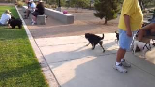 Heritage bark park