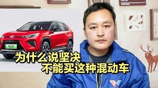 为什么说不建议买这种混动车，两个重要缺点，很多车主买完就后悔【车二哥说车】