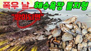폭우가 몰아치는 밤해변 우중 해루질 진짜 난리가 났습니다