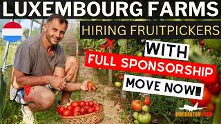 LUXEMBOURG Fruits Picking Jobs with Free Visa Sponsorships Direct Recruiter | NOW HIRING!