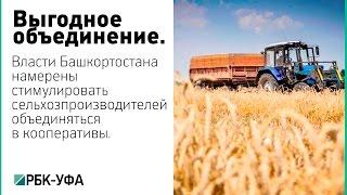 Минсельхоз РБ: потенциал роста продукции АПК заключен в развитии корпорации