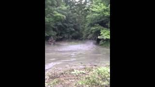Bergholz Mud Ratz