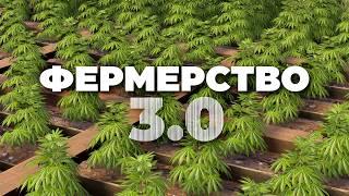 ПОЛНЫЙ гайд по ФЕРМЕРСТВУ 3.0 - Генетика, Пчелы, Куры [Rust/Раст]