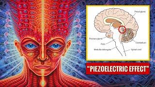 How to Release DMT: Pineal Gland Activation through the Piezoelectric Induction [STEPS 1-9]