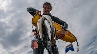 British spearfishing champion - what does it take?