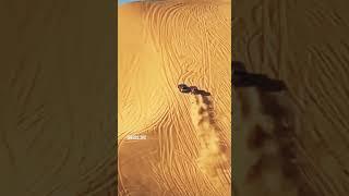 Fastest car  on Desert ️ what a speed 