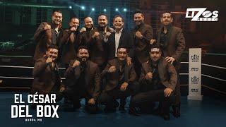 Banda MS de Sergio Lizárraga – El César del Box (Video Oficial)