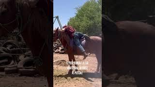 The emergency dismount  #emergencydismount #howtovideos #horsebackriding #horselesson #ridinglessons
